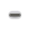Apple MMEL2 Thunderbolt 3 USB C to Thunderbolt 2 Adapter 1