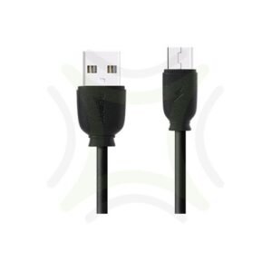 remax rc134m micro 1